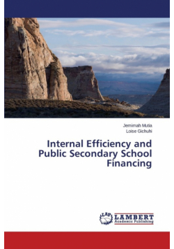 Internal Efficiency and Public Secondary School Financing