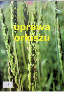Uprawa orkiszu