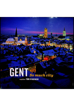Gent So much city