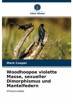 Woodhoopoe violette Masse, sexueller Dimorphismus und Mantelfedern
