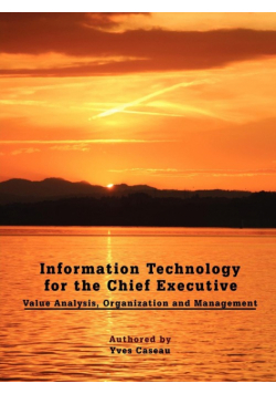 Information Technology for the Chief Executive