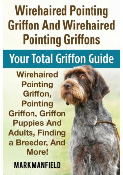 Wirehaired Pointing Griffon And Wirehaired Pointing Griffons