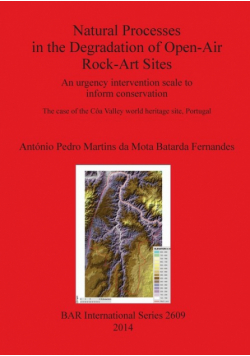 Natural Processes in the Degradation of Open-Air Rock-Art Sites