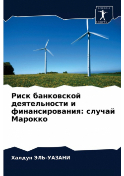 Риск банковской деятельности и финансирования