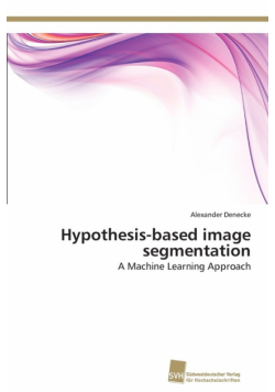 Hypothesis-based image segmentation