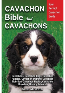 Cavachon Bible And Cavachons