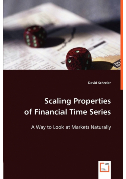 Scaling Properties of Financial Time Series