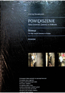 Powiększenie Nowy Cmentarz Żydowski w Krakowie NOWA