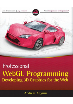 Professional WebGL Programming