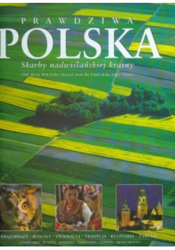 Prawdziwa Polska skarby nadwiślańskiej krainy