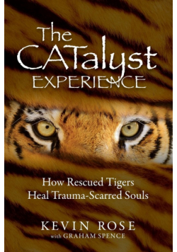 The Catalyst Experience