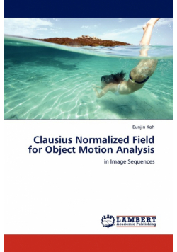 Clausius Normalized Field for Object Motion Analysis
