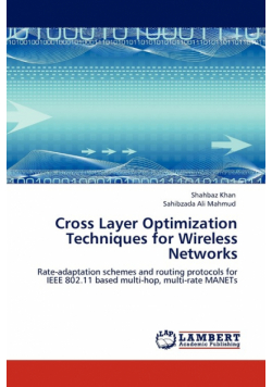 Cross Layer Optimization Techniques for Wireless Networks