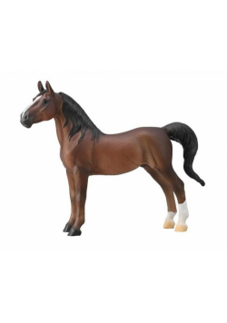 Ogier American Saddlebred