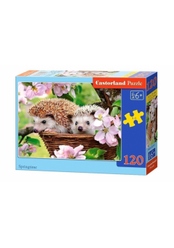 Puzzle 120 Wiosenny czas CASTOR