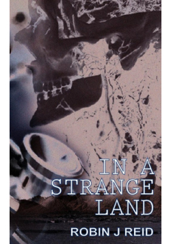 In a Strange Land