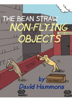 The Bean Straw