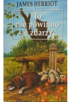 To nie powinno się zdarzyć