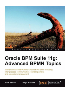 Oracle Bpm Suite 11g