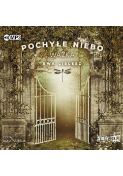 Pochyłe niebo T.3 Ważka audiobook