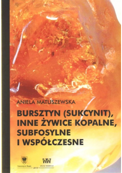 Bursztyn sukcynit inne żywice kopalne subfosylne i współczene