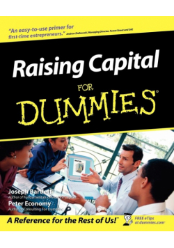 Raising Capital For Dummies