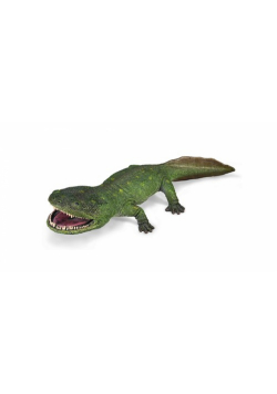 Koolasuchus cleelandi