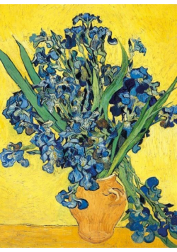 Karnet B6 z kopertą Irises