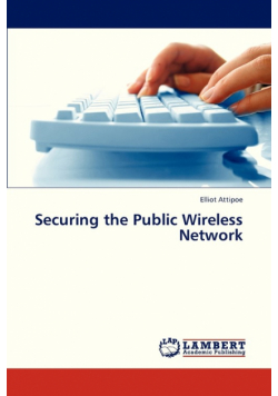 Securing the Public Wireless Network