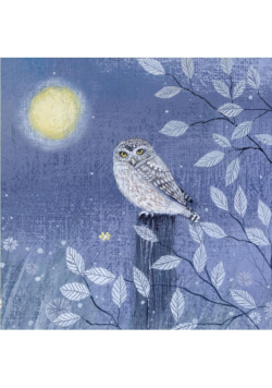 Karnet kwadrat z kopertą Little Owl