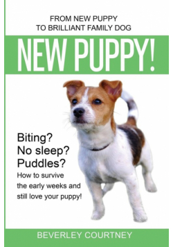New Puppy!