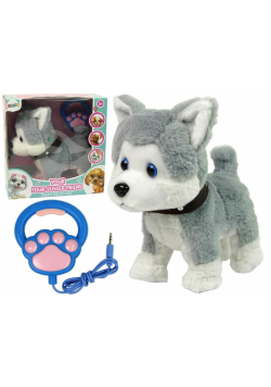 Husky interaktywny