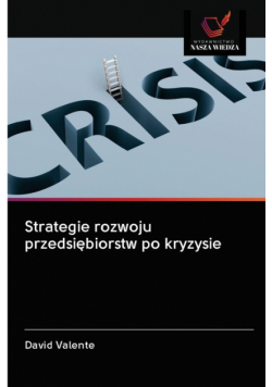 Strategie rozwoju przedsiębiorstw po kryzysie