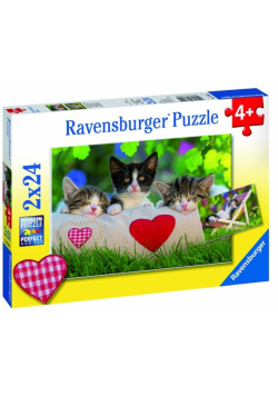 Puzzle 2x24 Kotki