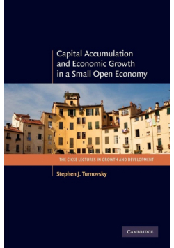 Capital Accumulation and Economic Growth in a Small Open Economy