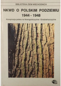 NKWD o Polskim Podziemiu 1944 - 1948
