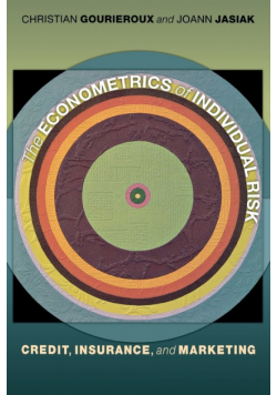 The Econometrics of Individual Risk