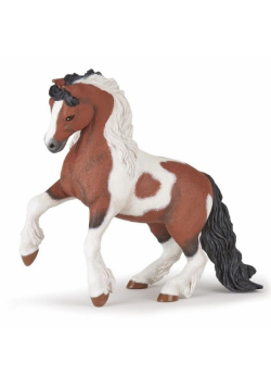Koń Irish cob
