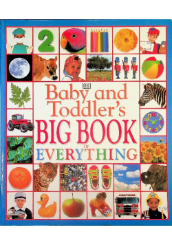 Baby & Toddlers Big Book of Everything
