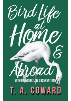 Bird Life at Home and Abroad - With Other Nature Observations