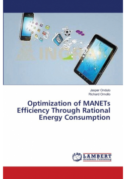 Optimization of MANETs Efficiency Through Rational Energy Consumption