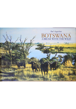 Botswana A Brush with the Wild