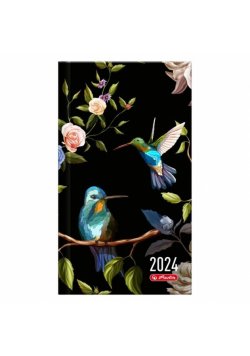 Kalendarz 2024 A6 tygodniowy Koliber HERLITZ
