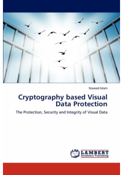 Cryptography Based Visual Data Protection