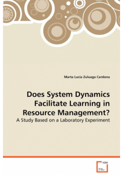 Does System Dynamics Facilitate Learning in Resource Management