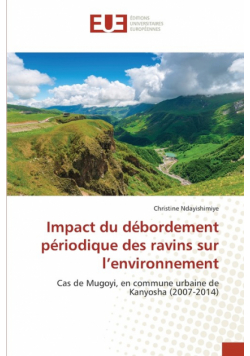 Impact du débordement périodique des ravins sur l'environnement