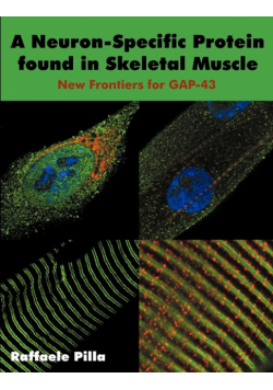 A Neuron-Specific Protein found in Skeletal Muscle