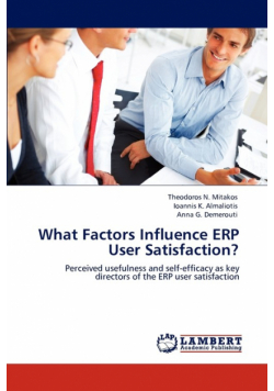 What Factors Influence Erp User Satisfaction?