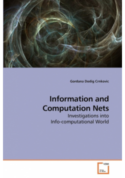 Information and Computation Nets
