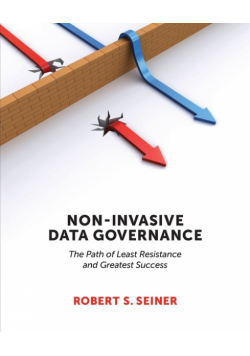 Non-Invasive Data Governance